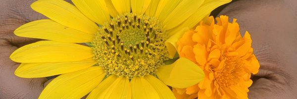 tsiakour Profile Banner