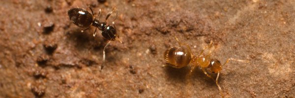 Cible31 Profile Banner