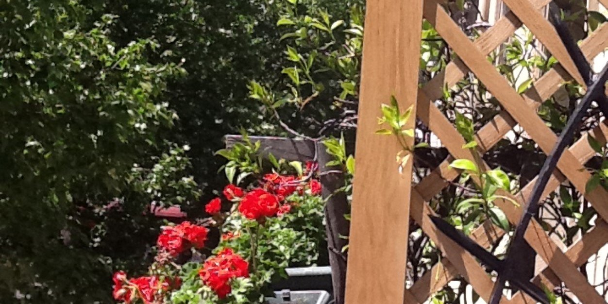 Becca536's profile banner image