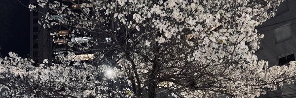 blaazeerd Profile Banner