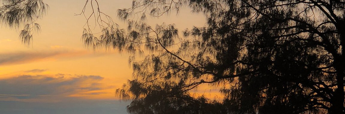 susiardani's profile banner image