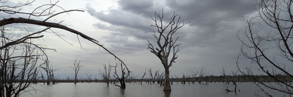 fox_frail Profile Banner