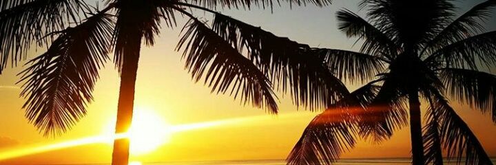 JessAsan_o's profile banner image