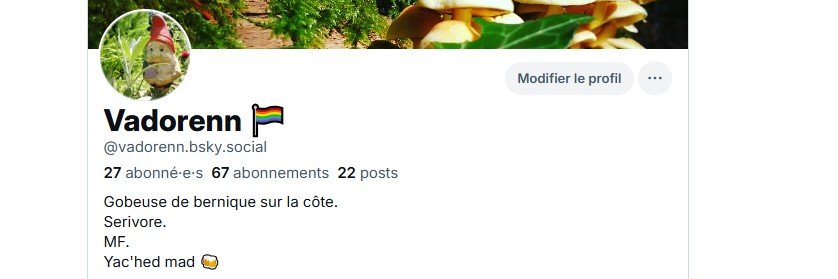 Vadorenn's profile banner image