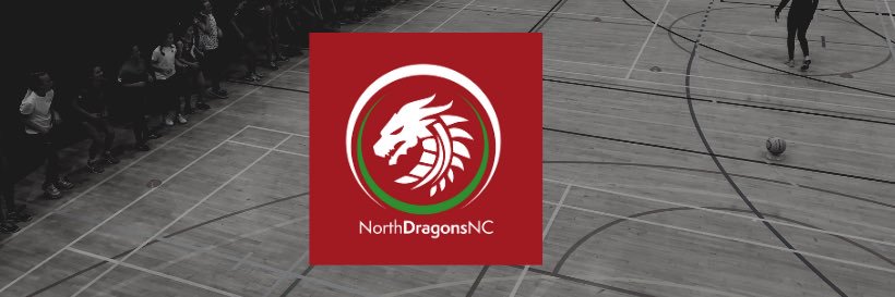 NDNetball's profile banner image