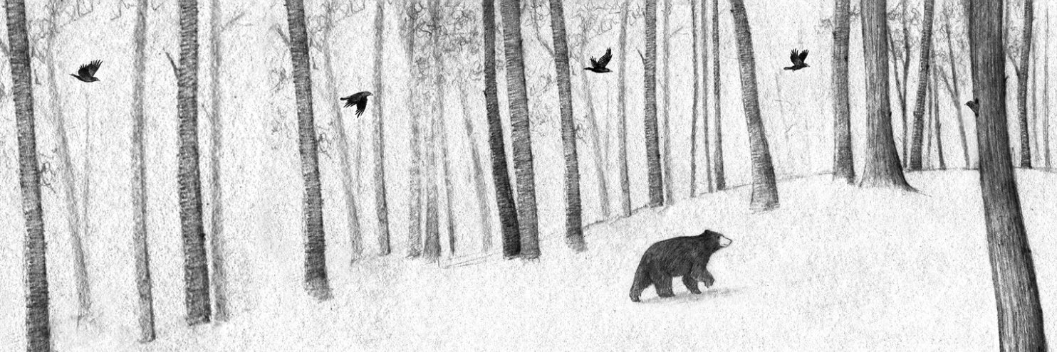 estherconnon's profile banner image