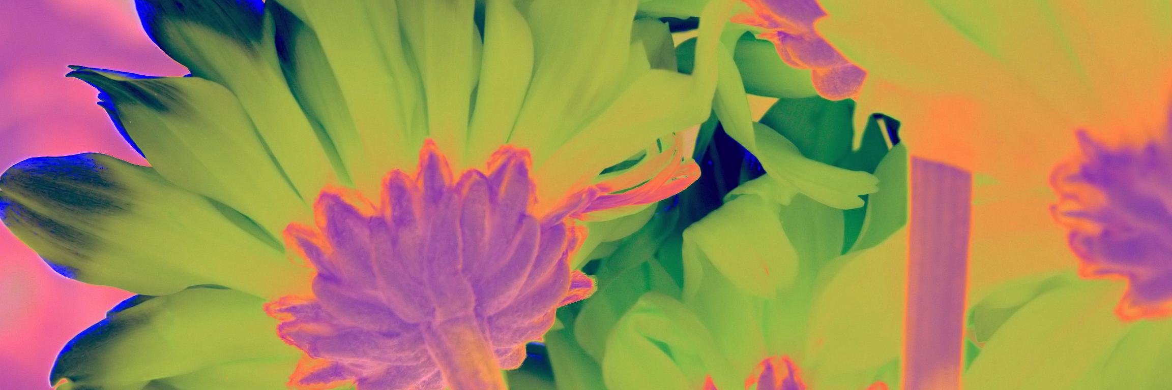 ConfettiStyle's profile banner image