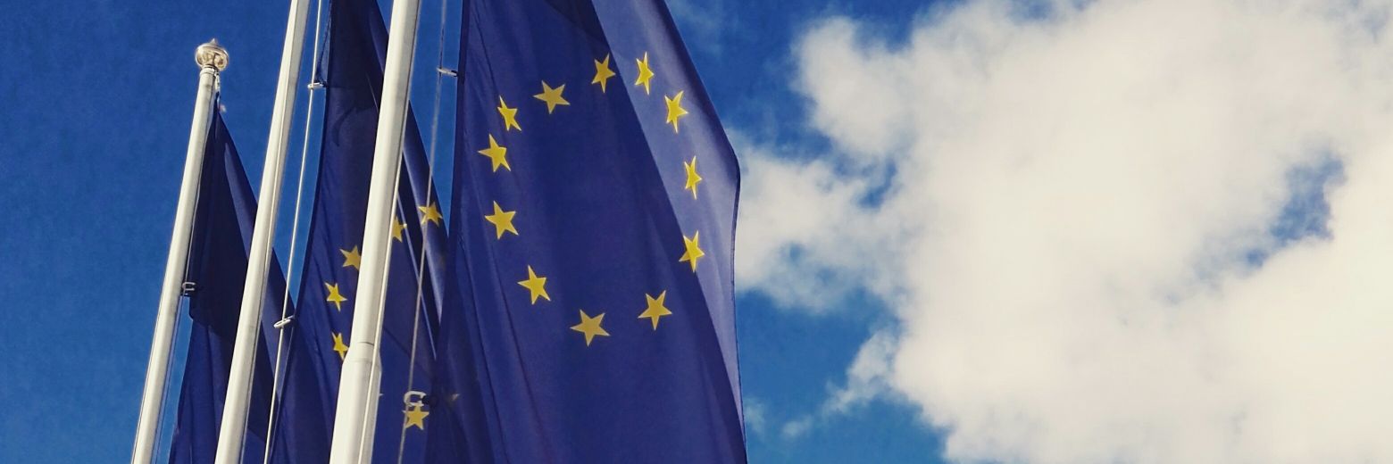 Sabine Radl 🇺🇦🇪🇺 banner