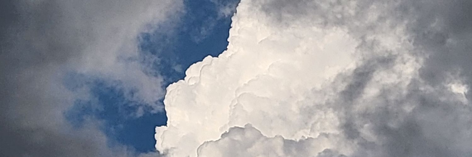 산삼山参's banner