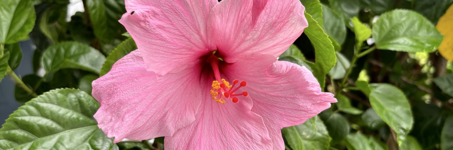 _jaaijag's profile banner image