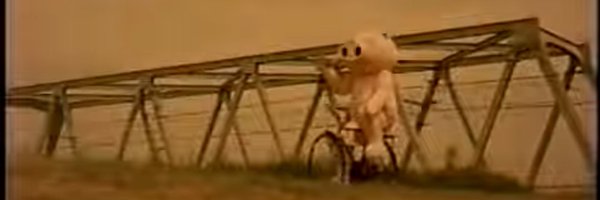 bean2curd Profile Banner