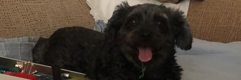 Isabel_bimba's profile banner image
