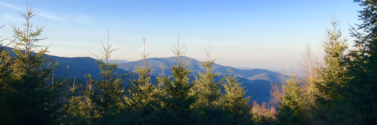 Polly Edwards banner