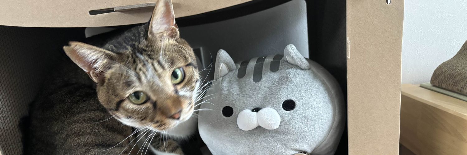 micanncat's profile banner image