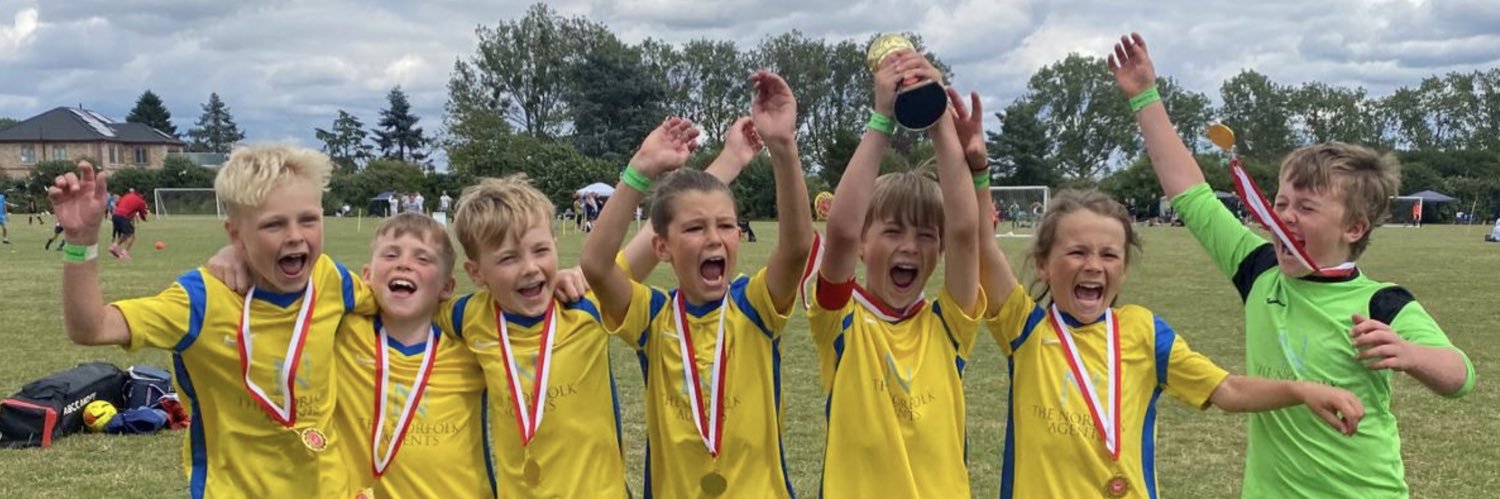 Ross Nicholas banner