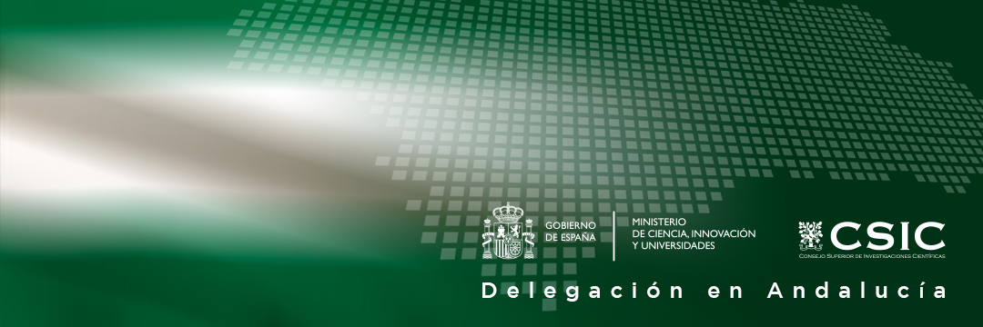 CSIC Andalucía y Extremadura's banner