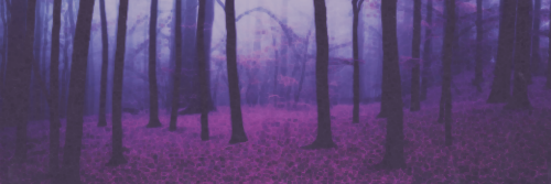 albarn_fans's profile banner image