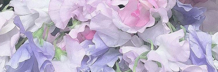 intaensive's profile banner image