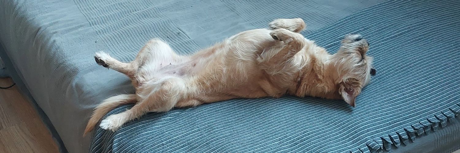 Aleksandra Półrolniczak banner