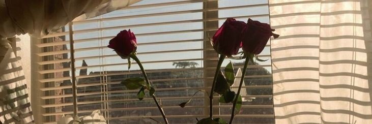 حمودي 🤍 banner