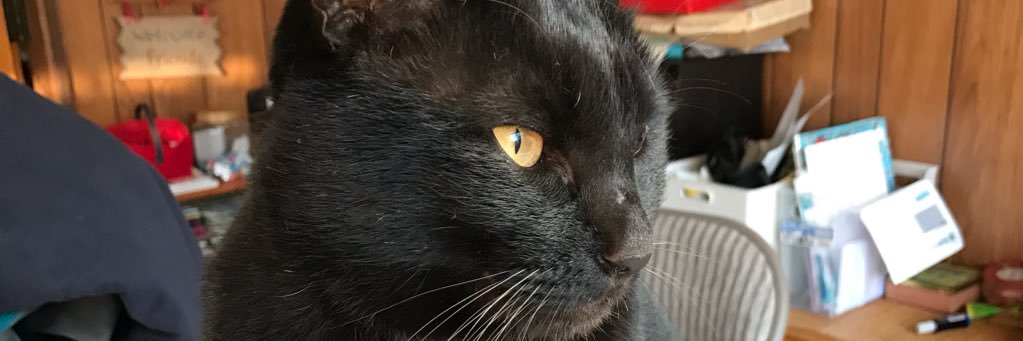 elvisclone's profile banner image
