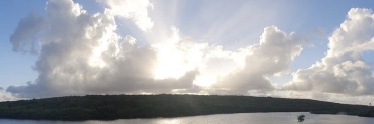 artaudnin's profile banner image
