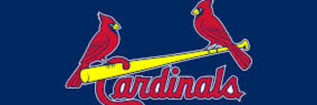 RedDevil0811's profile banner image