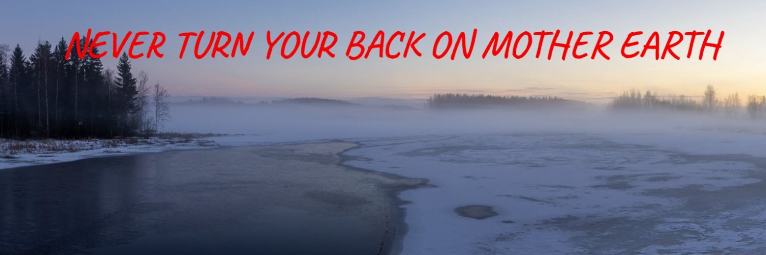 Markku Ruonala banner