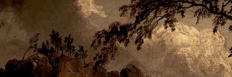 𝓝𝒚𝒍𝒊𝒂𝒏 banner