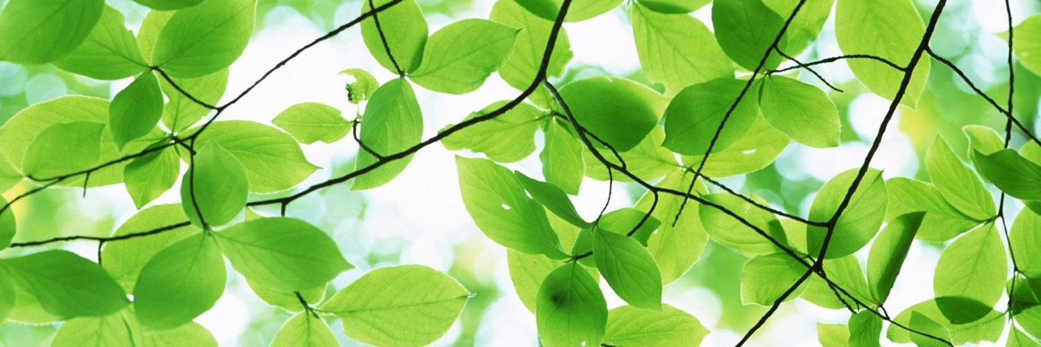 iovivogreen's profile banner image