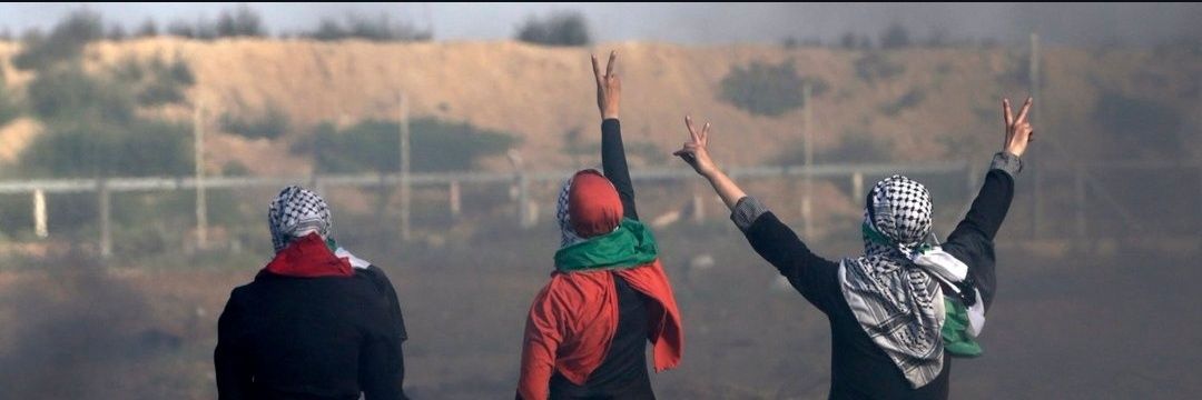 محمد مهدی's banner