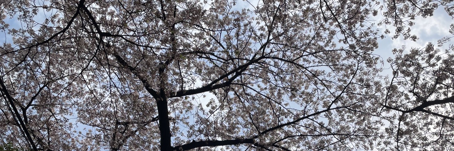 🐉ガンちゃんマダム🐉 banner