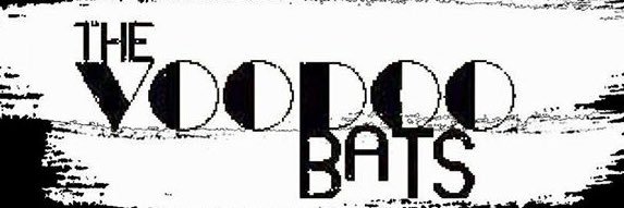 TheVoodooBats banner