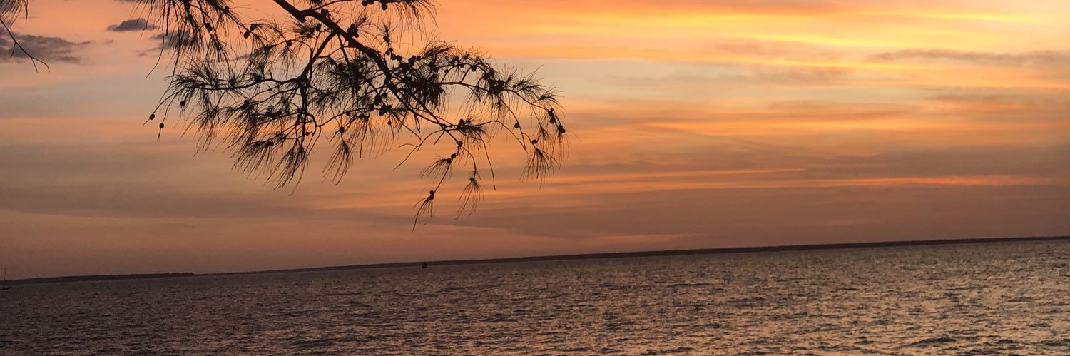 giacinta_coco's profile banner image
