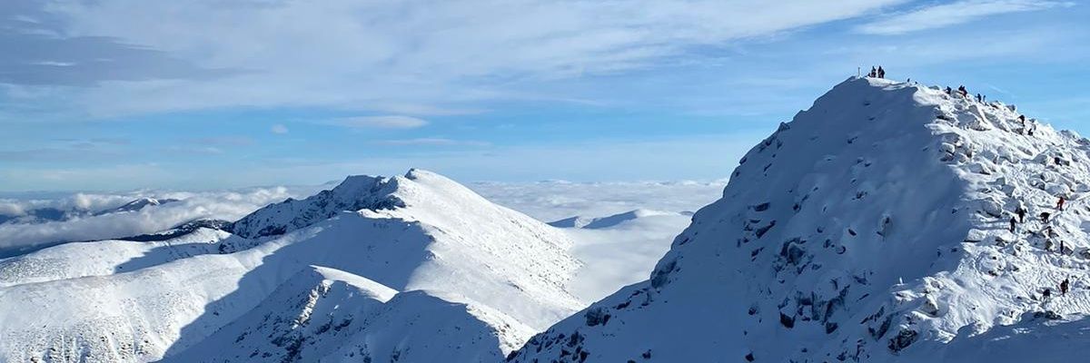 Megasized_Glory's profile banner image