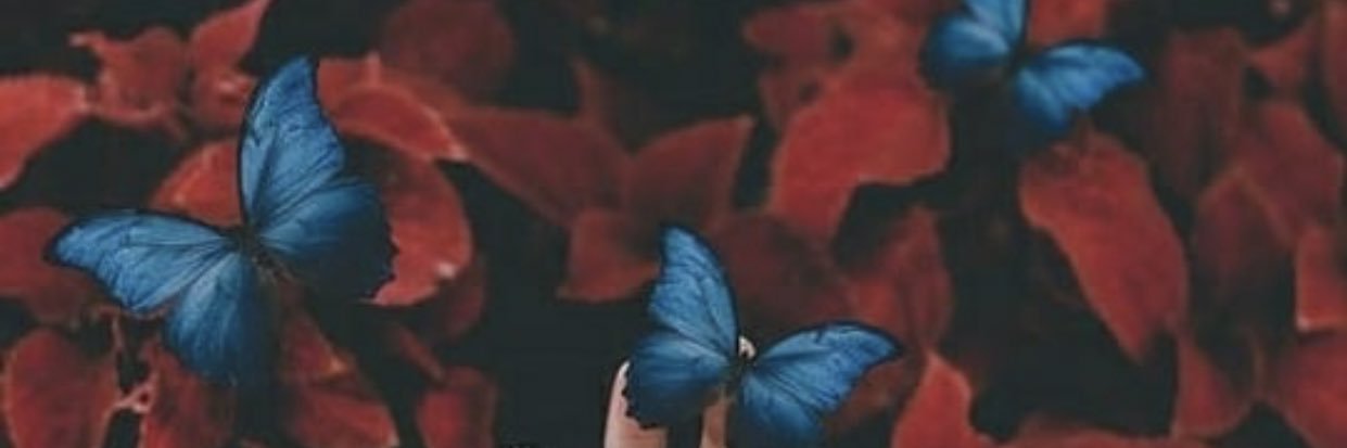 Motshyff's profile banner image
