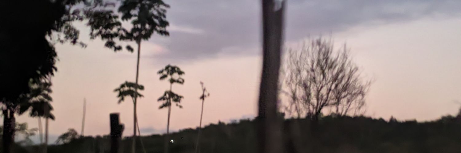 biellzin018's profile banner image