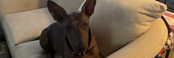 onagh Profile Banner