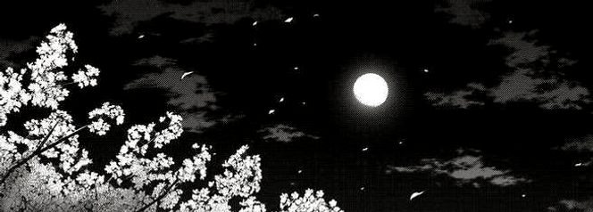 usertali02's profile banner image