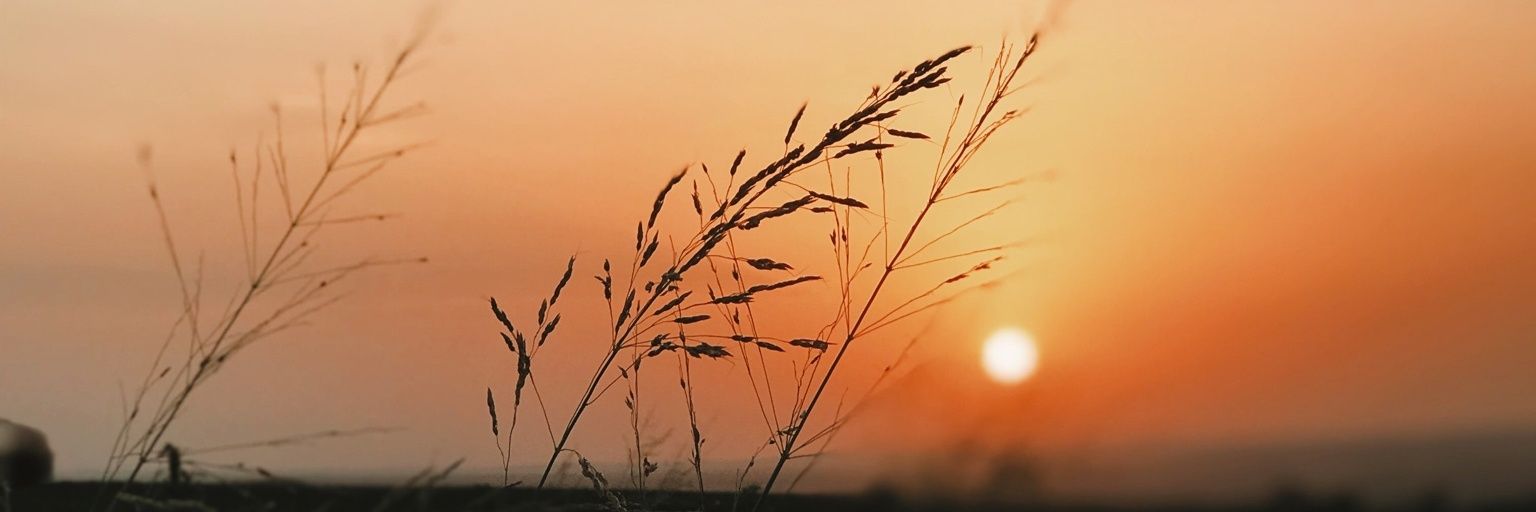 _Esse_10's profile banner image