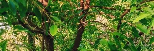 Jaydip banner