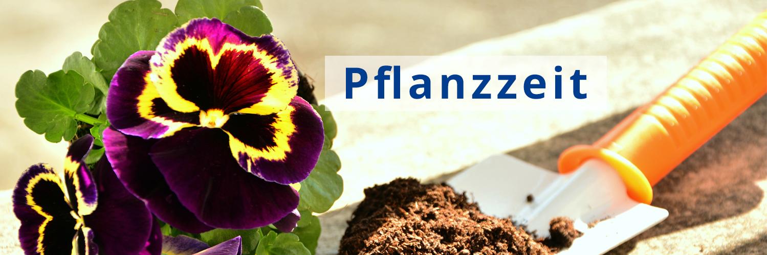BeachandPoolDE's profile banner image
