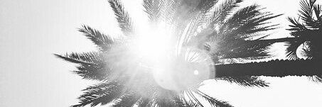 Jesooj_'s profile banner image