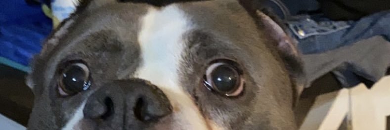 SteelNervs's profile banner image