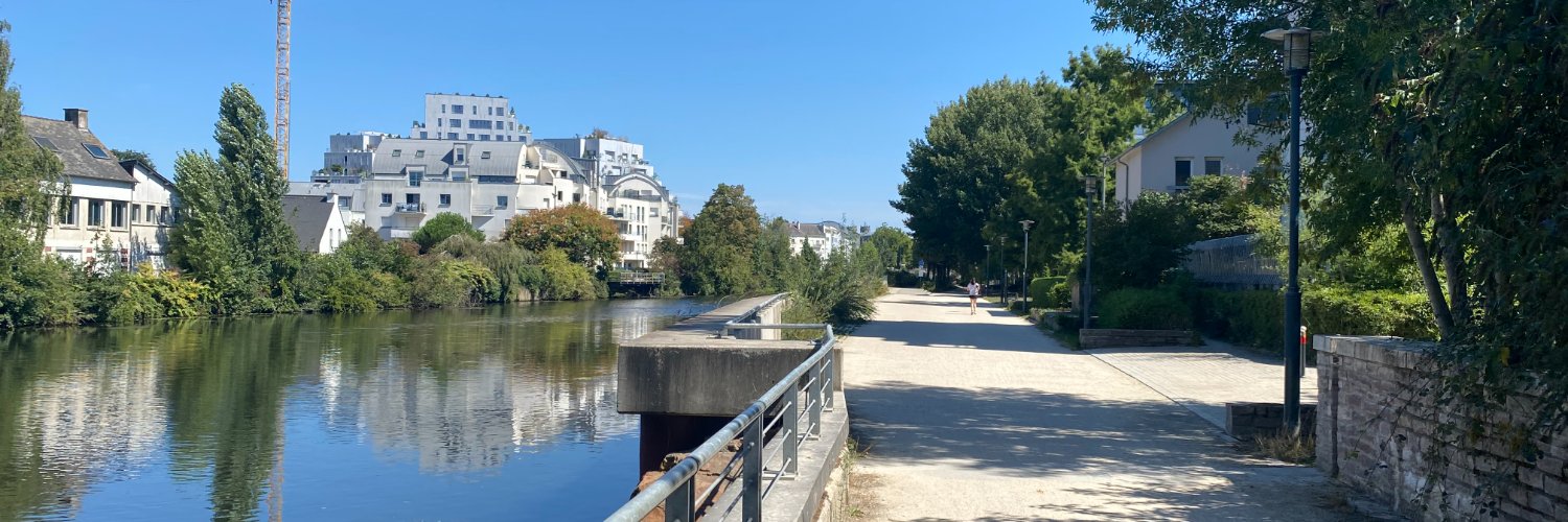 Kyle Williams banner