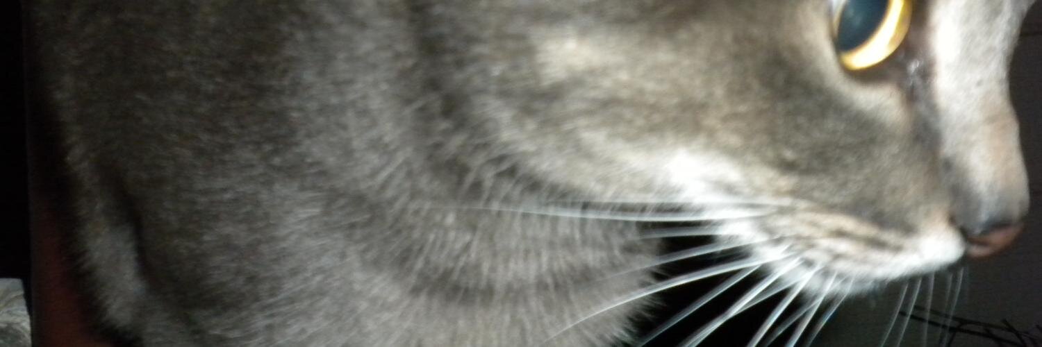 MITUDON's profile banner image