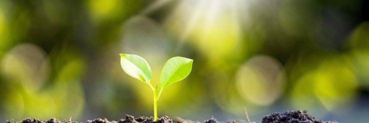 B.UPshaw. Ed.S banner