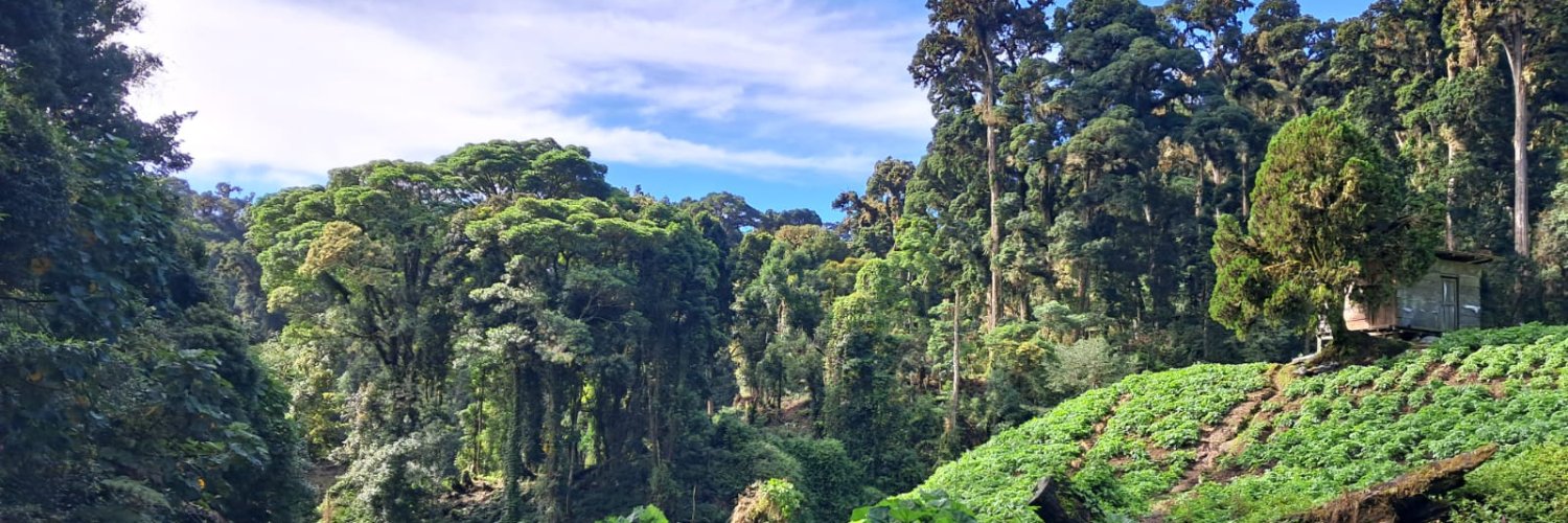 August, Keanu and Odin 🇺🇦 🇨🇦 🇵🇦 banner