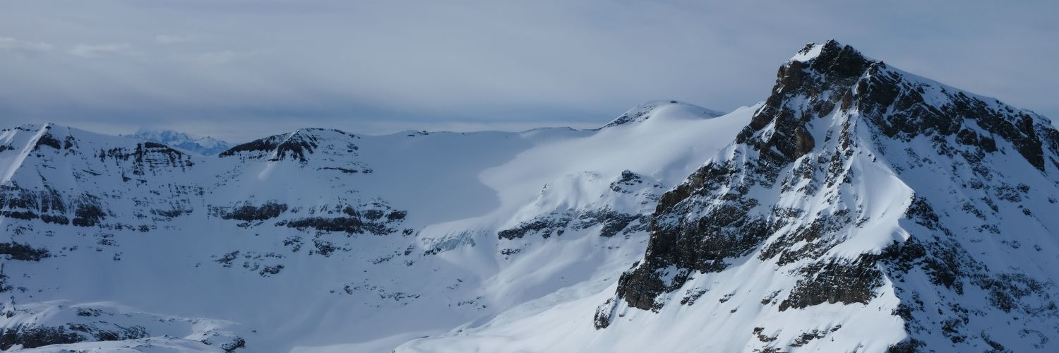 chelsea oester banner