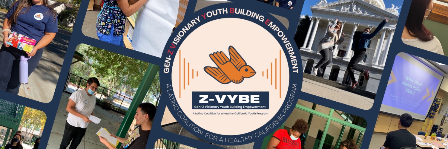 Zvybe_Sac's profile banner image